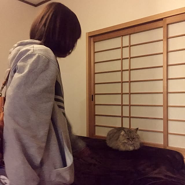 butachanさんの実例写真