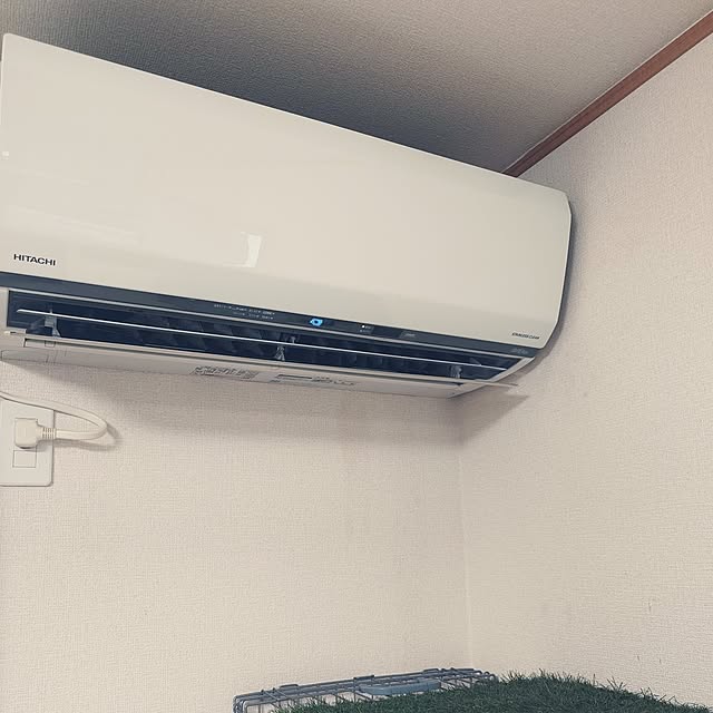 noguriさんの部屋