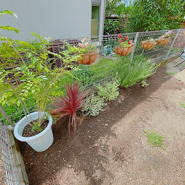 maa_ouchi___さんの実例写真