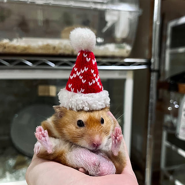 emiさんの実例写真