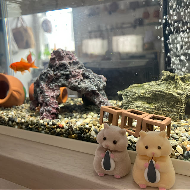 chunpinaさんの実例写真