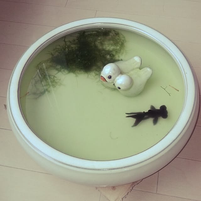 sakiさんの実例写真