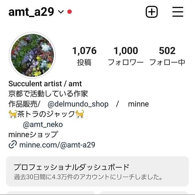 amtさんの実例写真