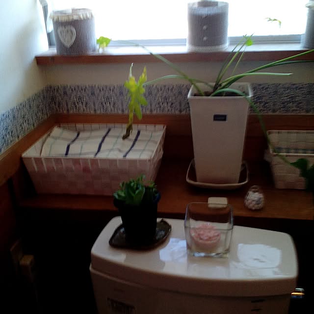 shusen.miyaさんの実例写真