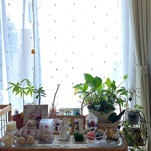 arareさんの実例写真