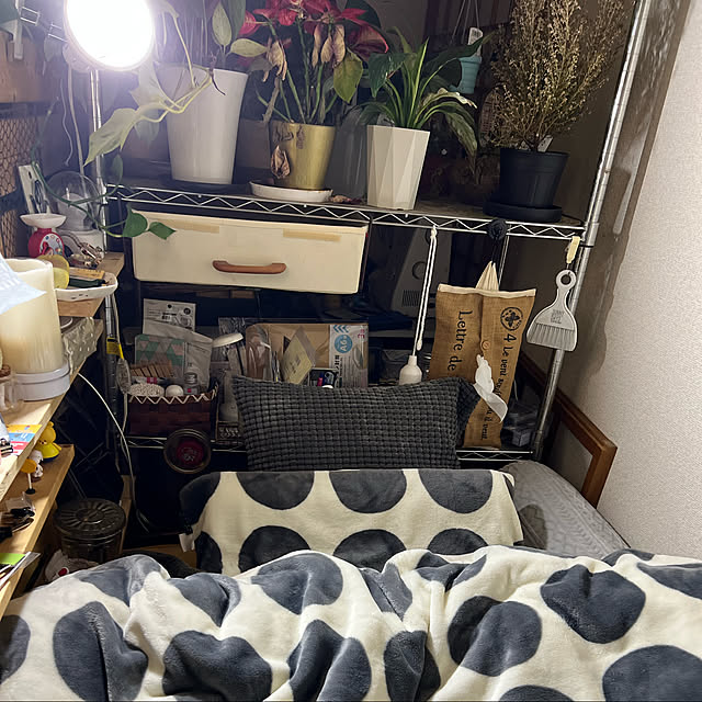 ayaさんの実例写真
