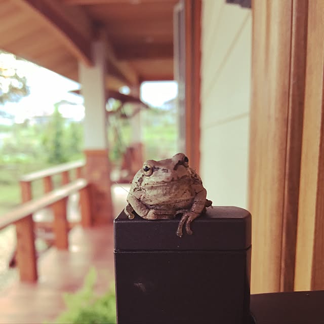 rhino.mamaさんの実例写真