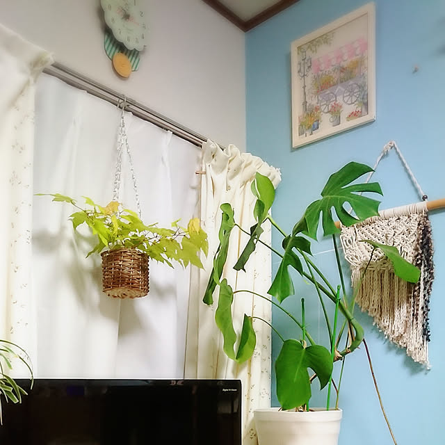naopyiさんの実例写真