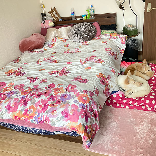 cheminさんの実例写真