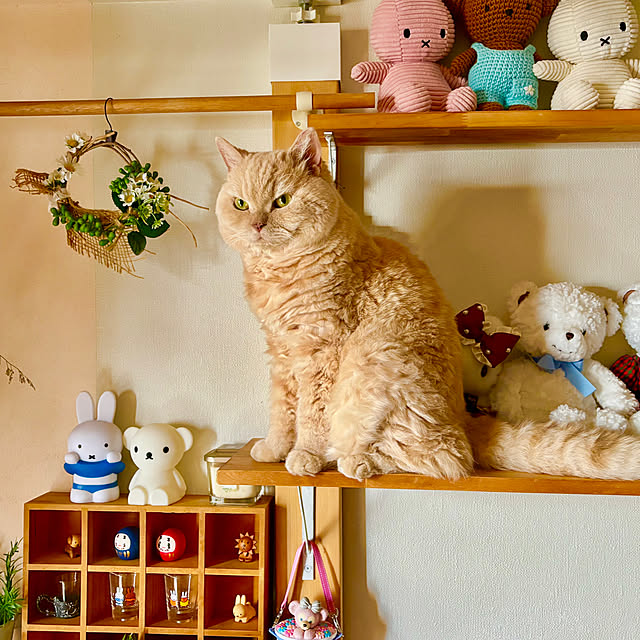 naokoさんの部屋