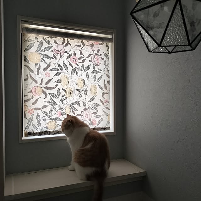 s.houseさんの実例写真