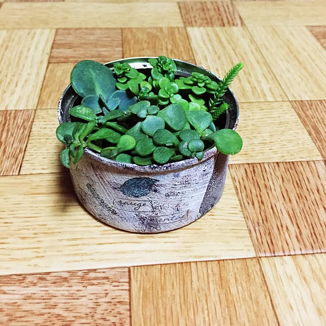 natural-sinple.28さんの実例写真