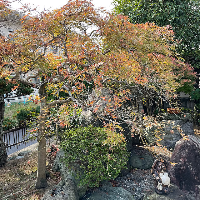 shin0719さんの実例写真