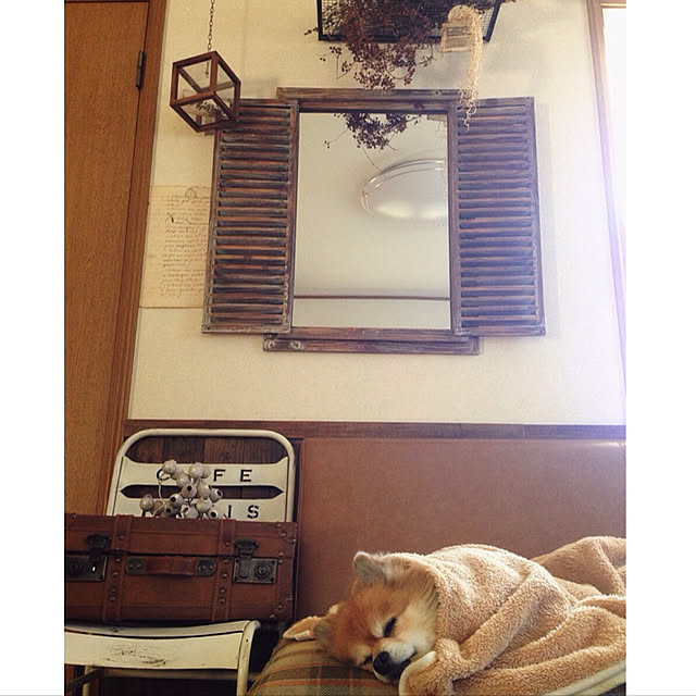 akkyさんの実例写真
