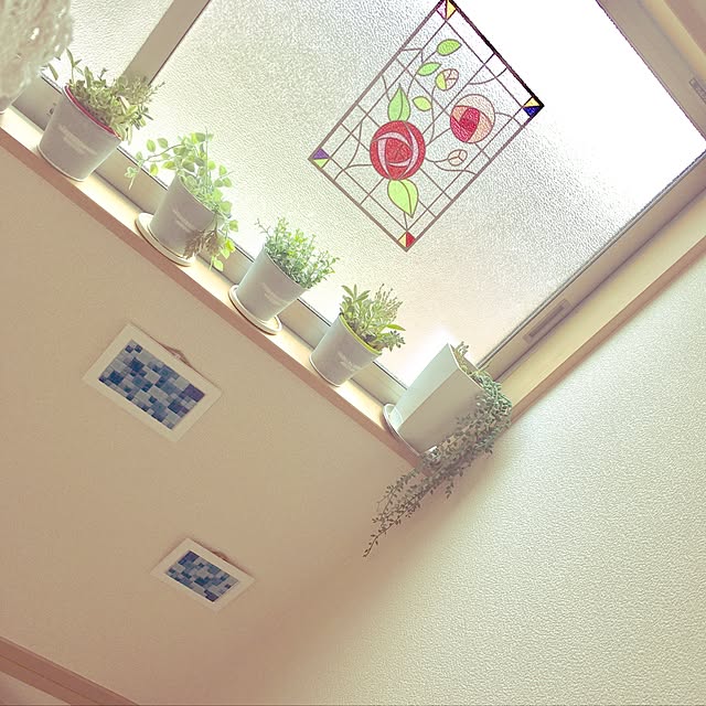 shikeitaさんの実例写真