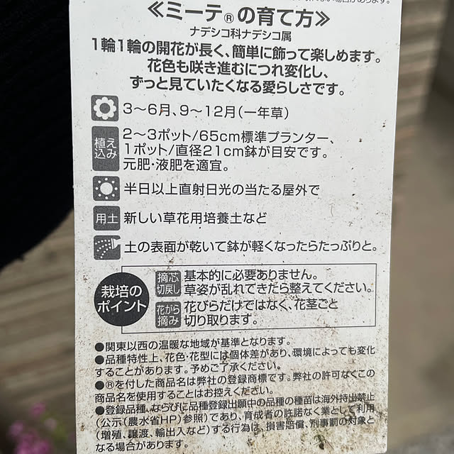 ronronさんの部屋