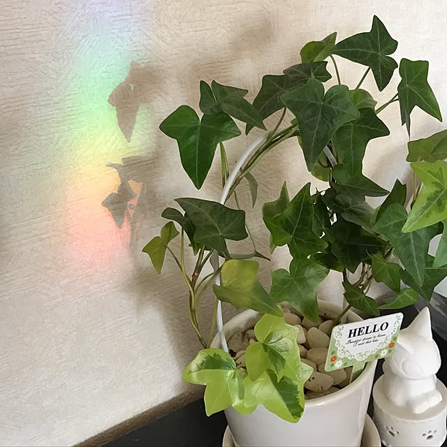 rosemaryさんの実例写真