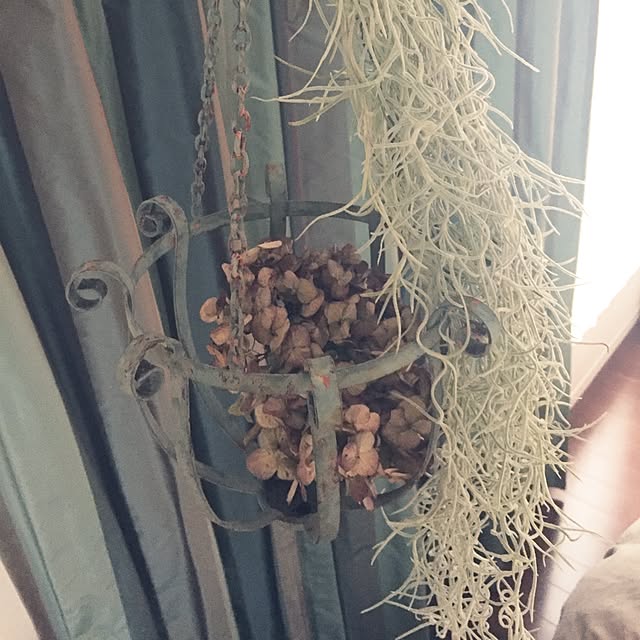 makimomongaさんの実例写真