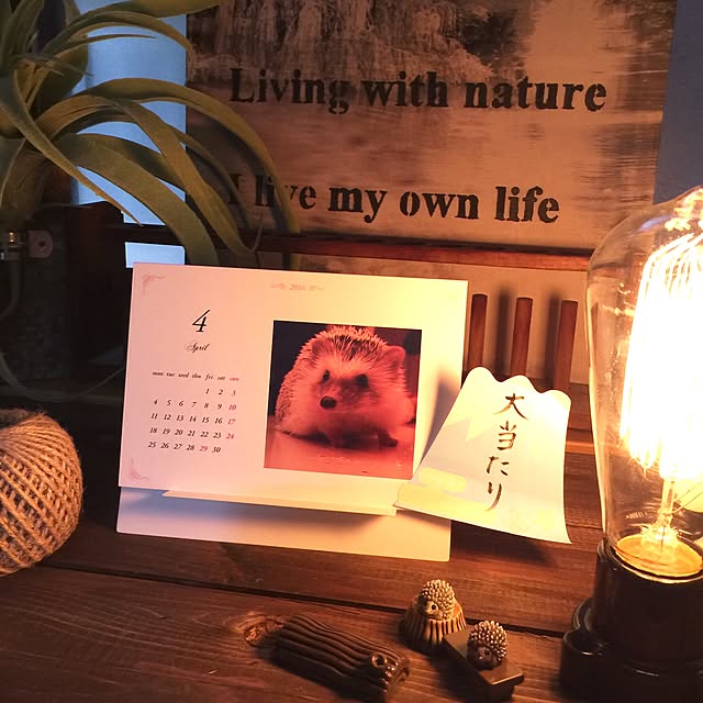 mamyuさんの実例写真
