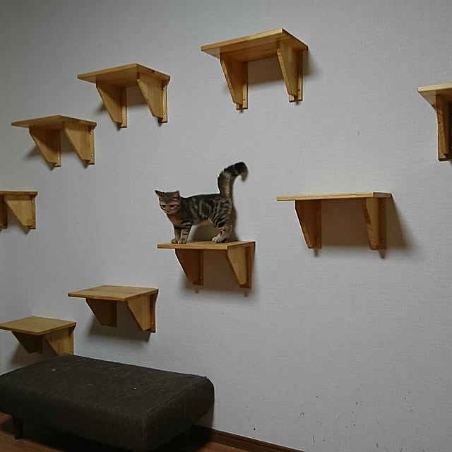 yasuyoさんの実例写真