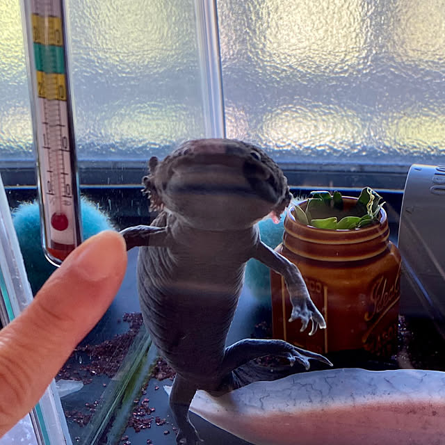 umi96さんの部屋