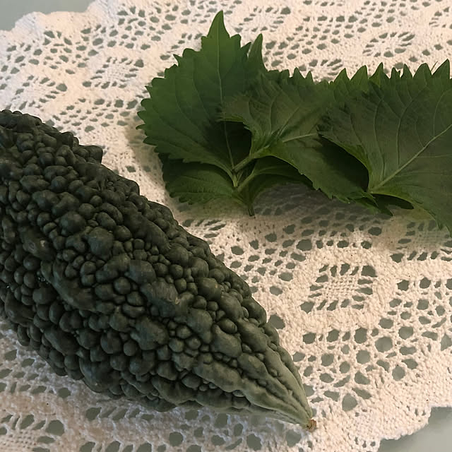 tomoさんの部屋