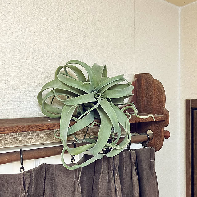 tararaさんの部屋