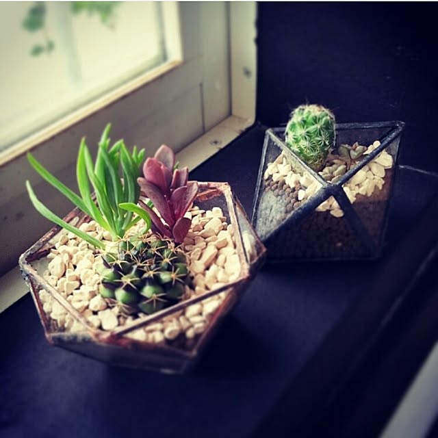 ricerocket73さんの実例写真