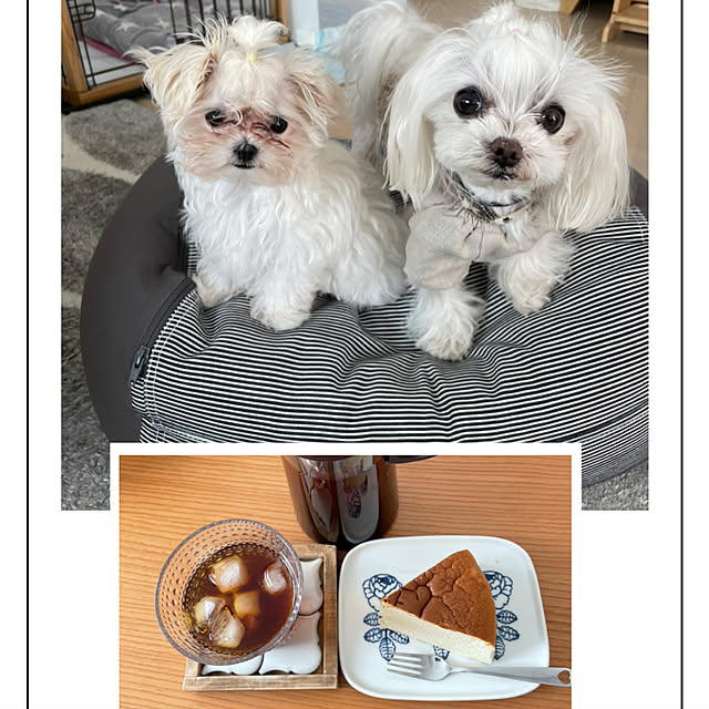 loliontoaliceveさんの実例写真