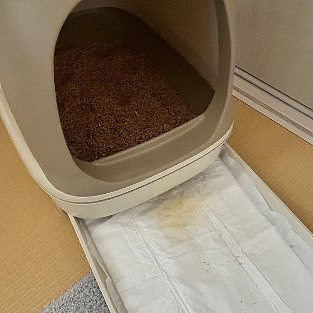 mocaさんの実例写真