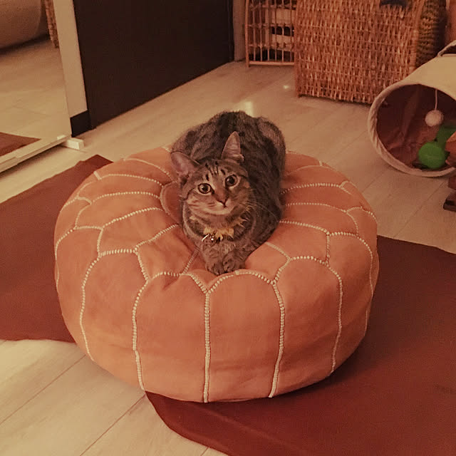 Mさんの実例写真