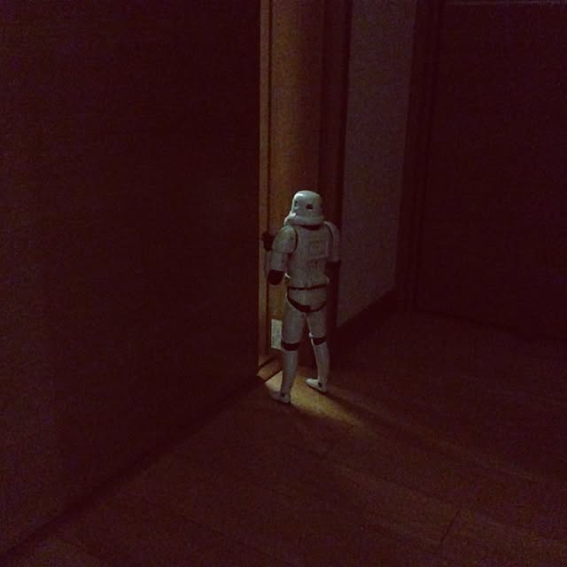 gauさんの実例写真