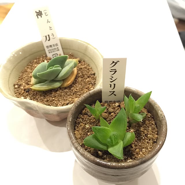 rika.hさんの実例写真