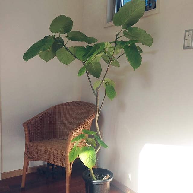 hiroさんの実例写真