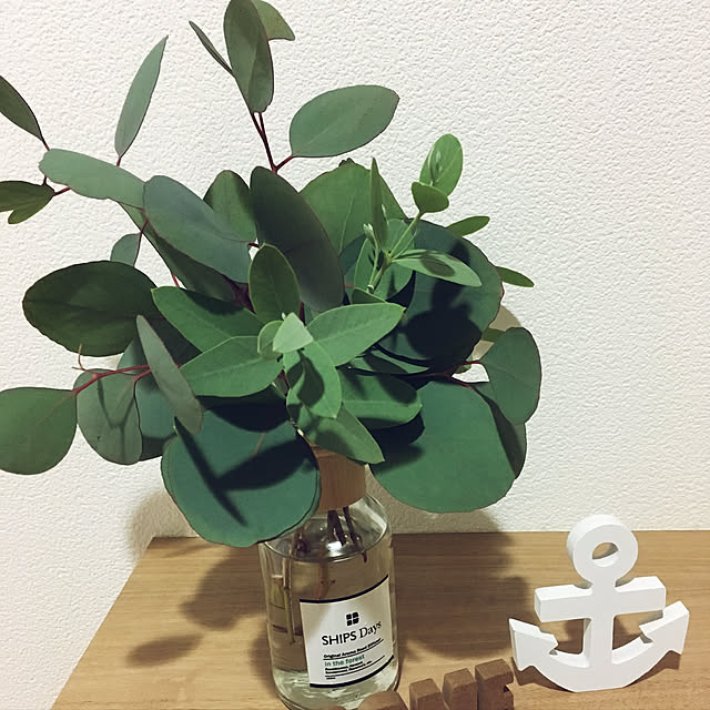 umiさんの実例写真