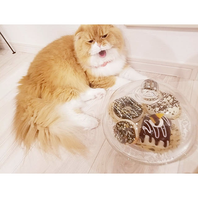 Arahimaさんの実例写真