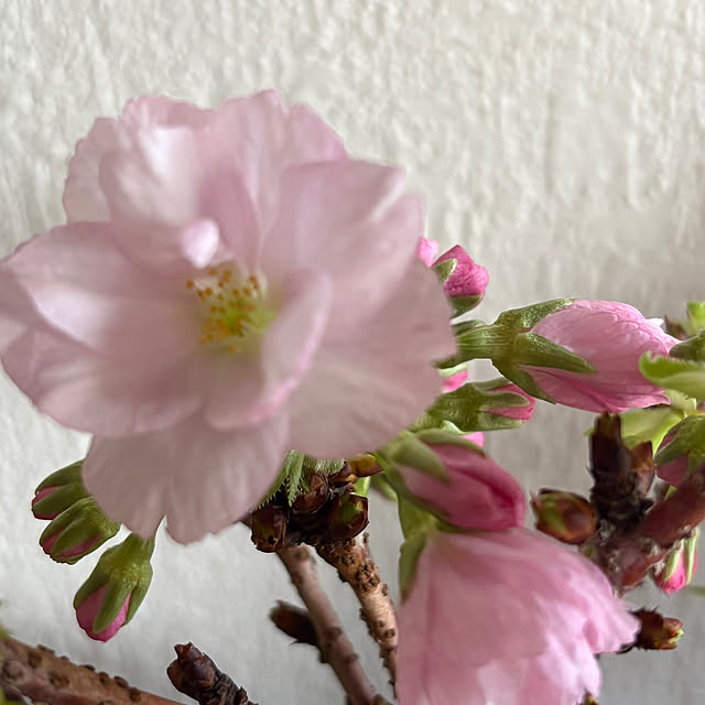 thirorunさんの部屋