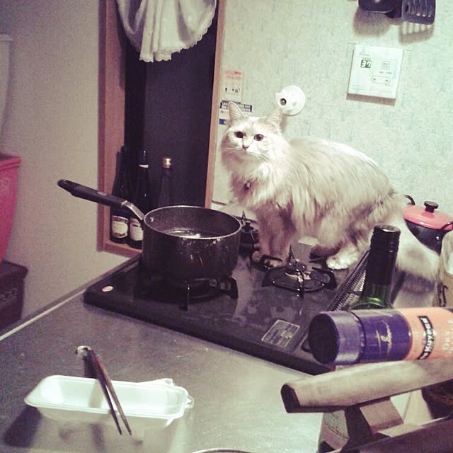 aiuekkoさんの実例写真
