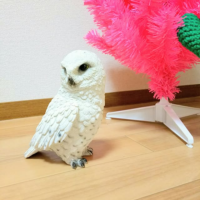 0c.c0さんの実例写真
