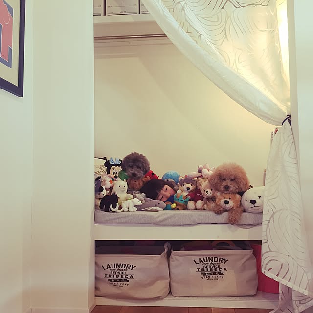 棚/本読みスペース/子供部屋/ig…amiagram/DIY...などのインテリア実例 - 2017-01-31 21:28:37