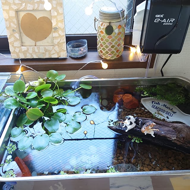 Toshimiさんの部屋