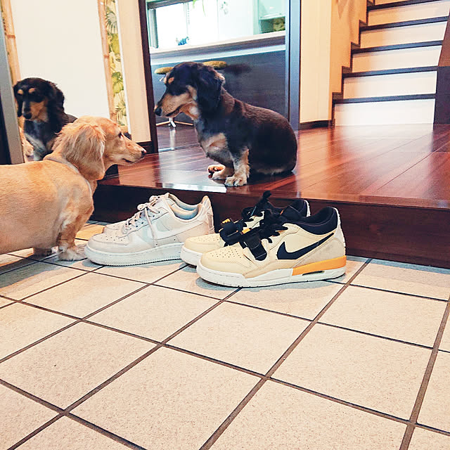 cocosorasakuさんの実例写真