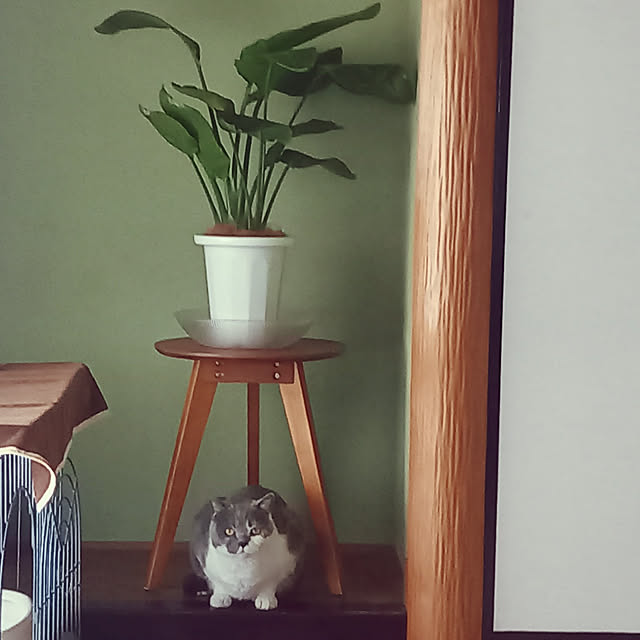rhuさんの実例写真