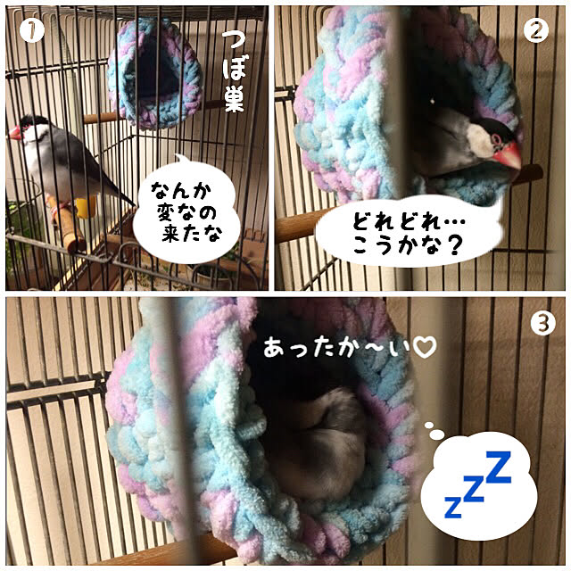 soramameさんの実例写真