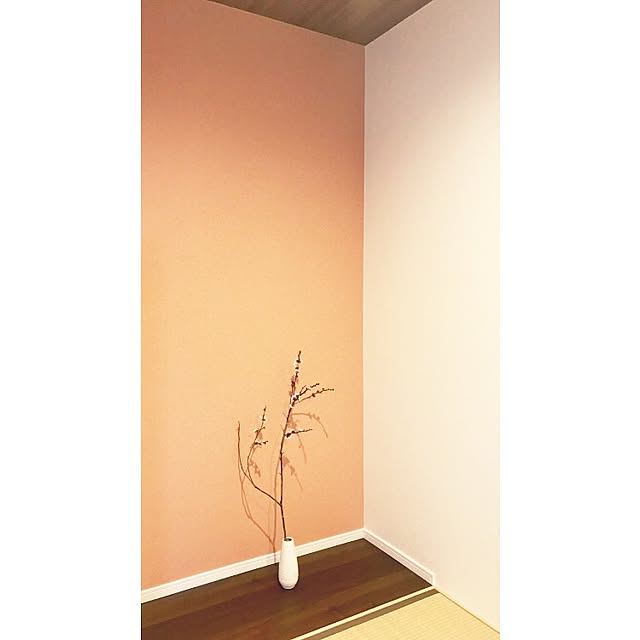 MRHTさんの実例写真