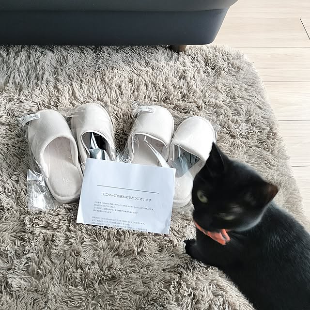 sakuraさんの部屋
