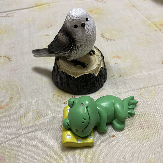 manduonmaさんの実例写真