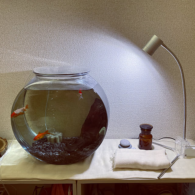 kamecoさんの実例写真