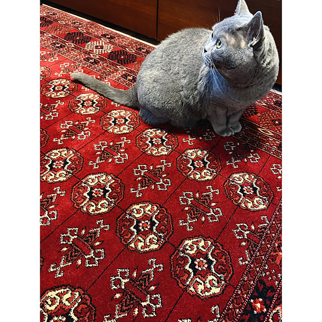 BTGさんの実例写真