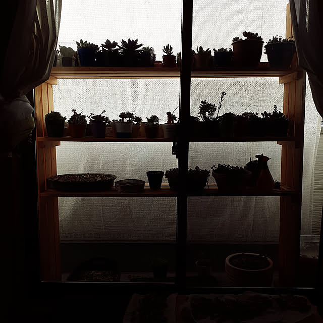 amtさんの実例写真